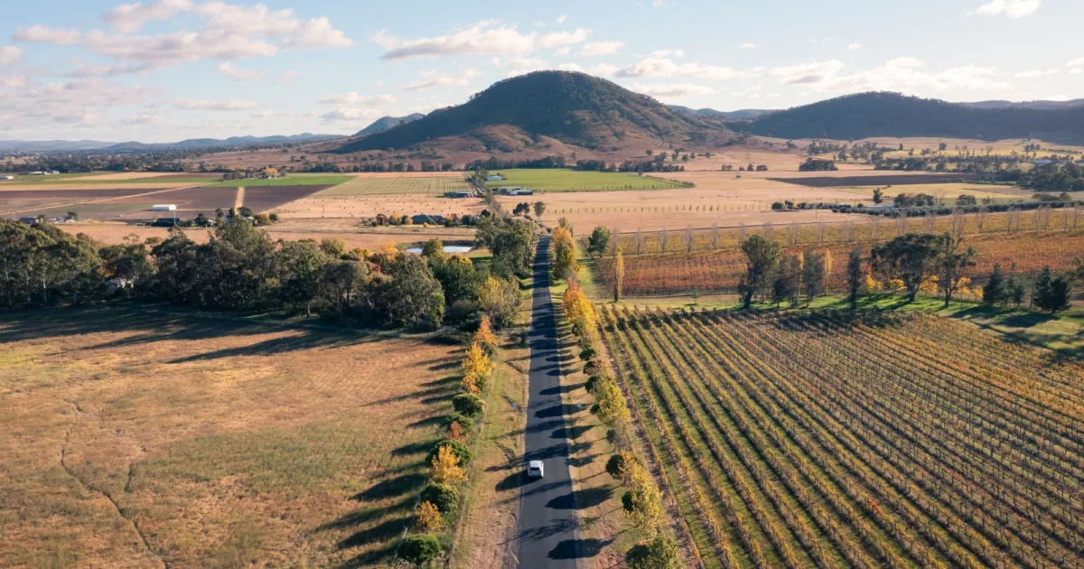 Fields around Mudgee