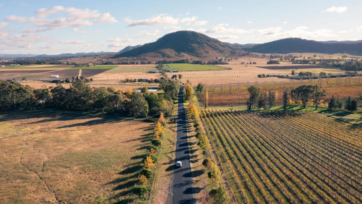 Fields around Mudgee