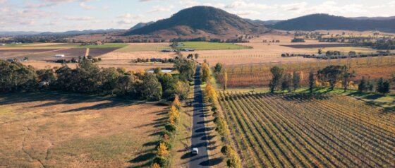 Fields around Mudgee