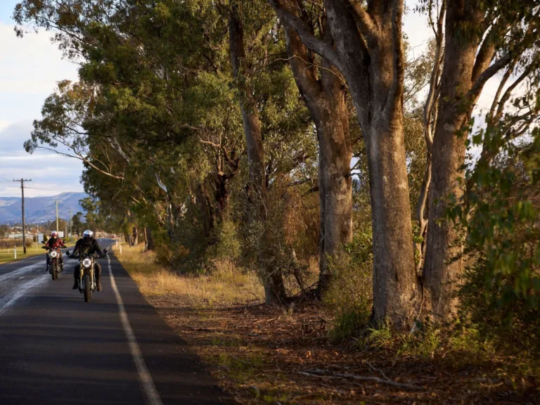 Driving around Mudgee