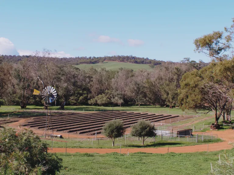 Wootra Asparagus Farm Chittering