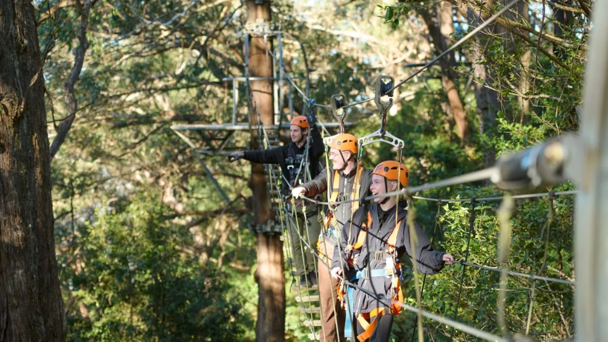 Illawarra Fly Treetop Adventures Image Credit Destination NSW