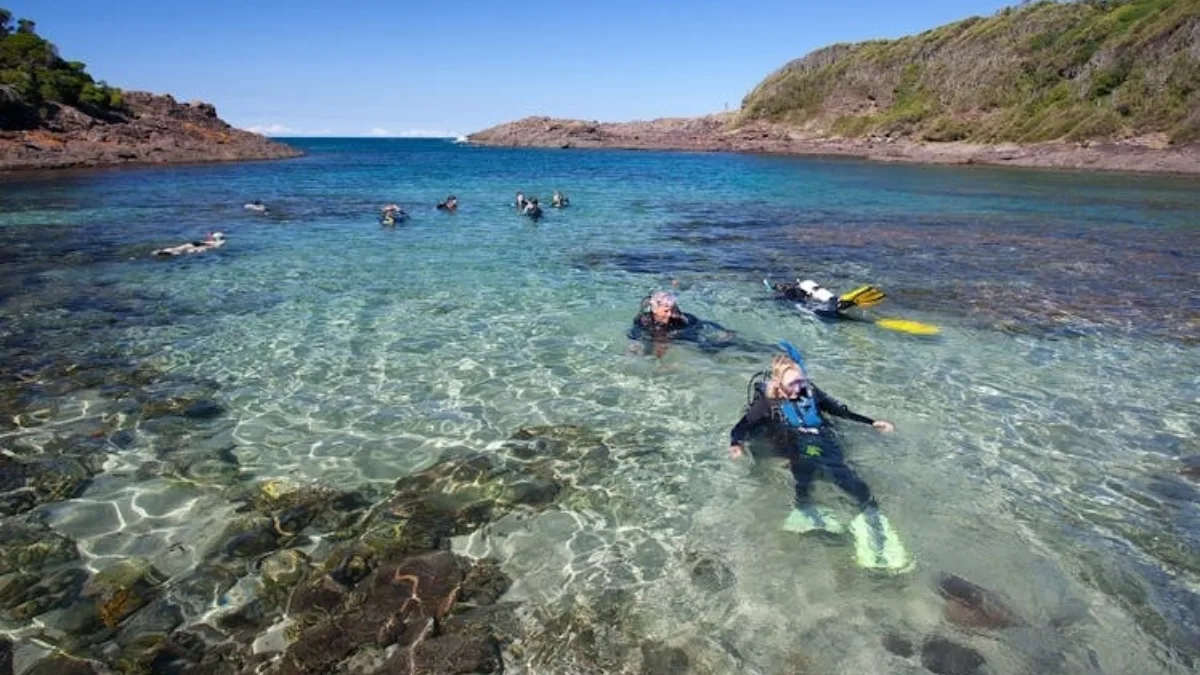 Bushrangers Bay Aquatic Reserve Image Credit Visit NSW
