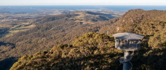 Illawarra Fly Treetop Adventures aerial Image Credit Destination NSW