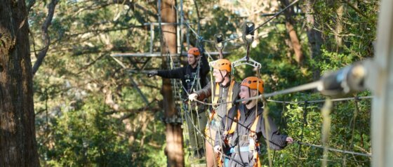 Illawarra Fly Treetop Adventures Image Credit Destination NSW