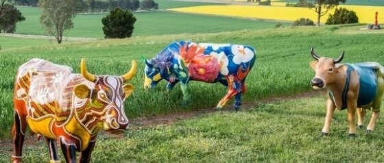 Mooving Art Shepparton