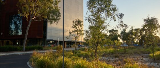 Shepparton Art Museum SAM