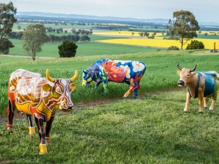 Mooving Art Shepparton