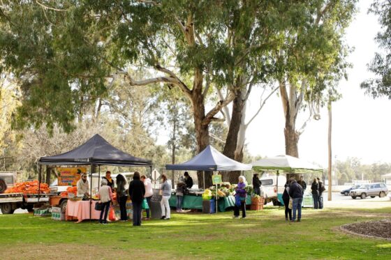 Locals shopping for fresh produce at Dubbo Farmers Market