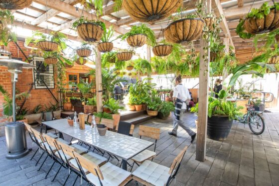 Press Cafe courtyard