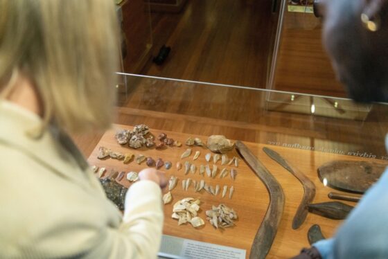 Exhibit display in Western Plains Cultural Centre
