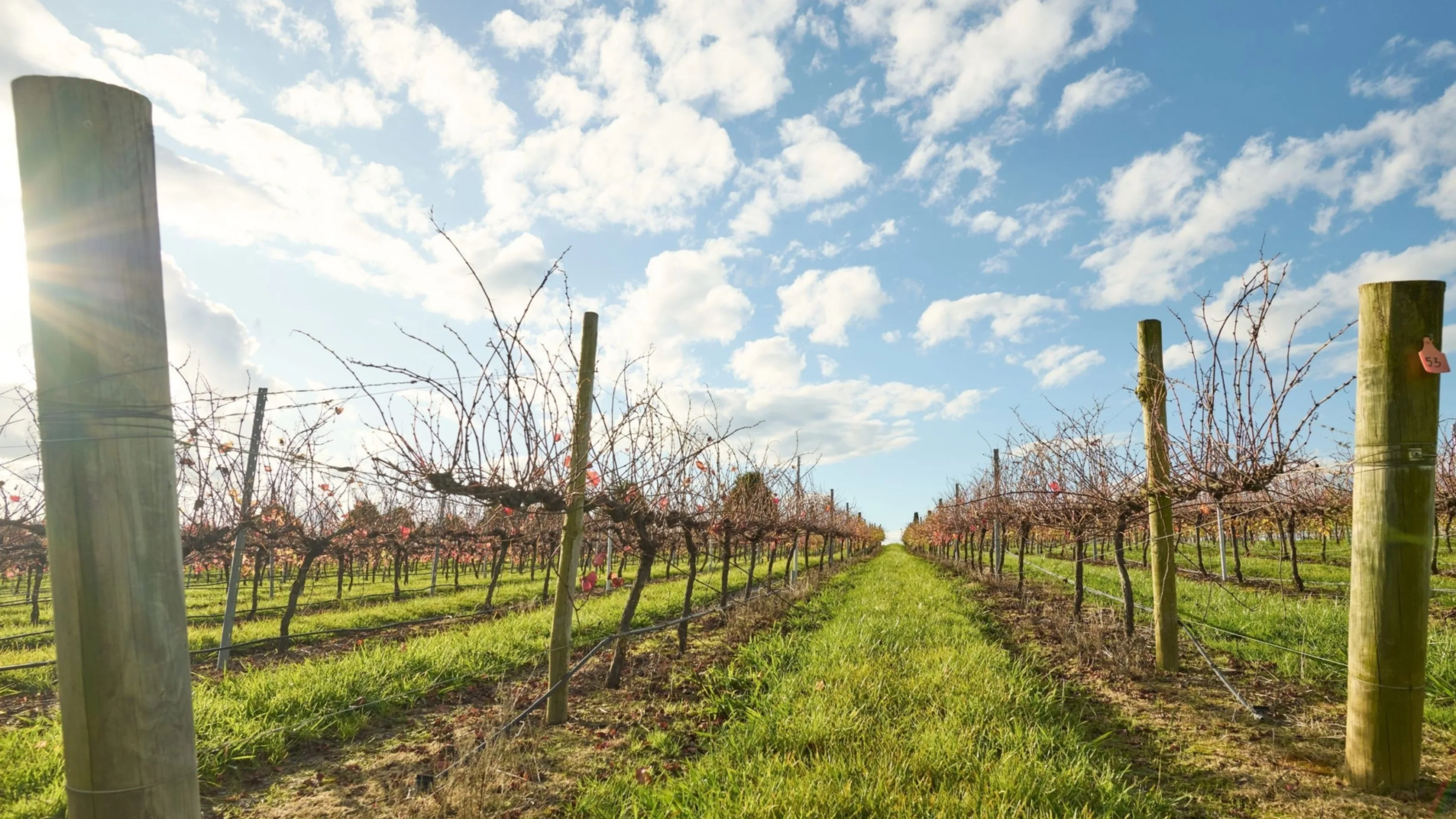 Southern Highlands Winery Sutton Forest