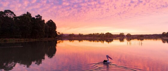 Cecil Hoskins Nature Reserve Burradoo