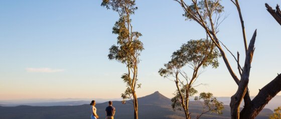 Pigeon House Mountain Didthul Morton National Park Image Credit Destination NSW