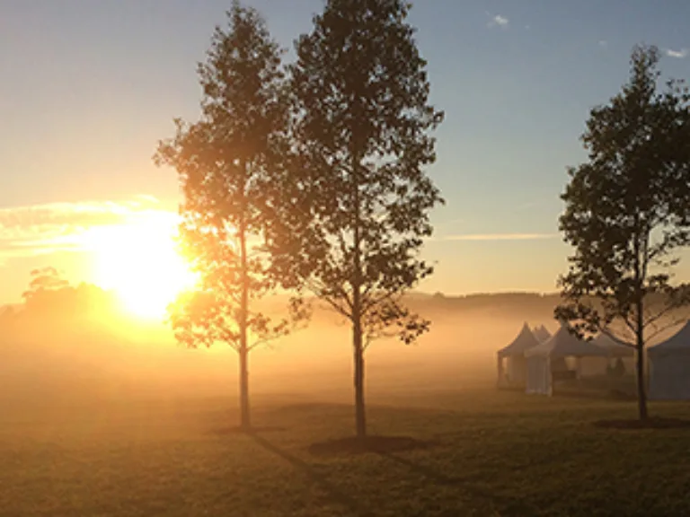 Southern Highlands Botanic Gardens Foundation Walk Image Credit SHBG