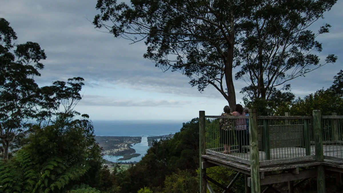 Dooragan National Park Image Credit National Parks NSW