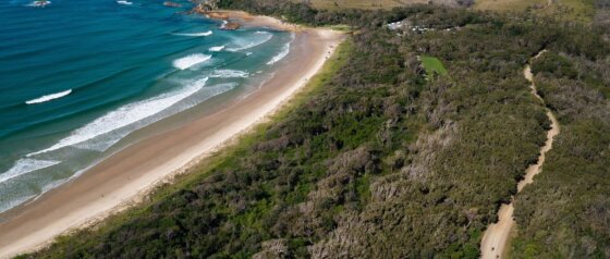 Diamond Head Beach