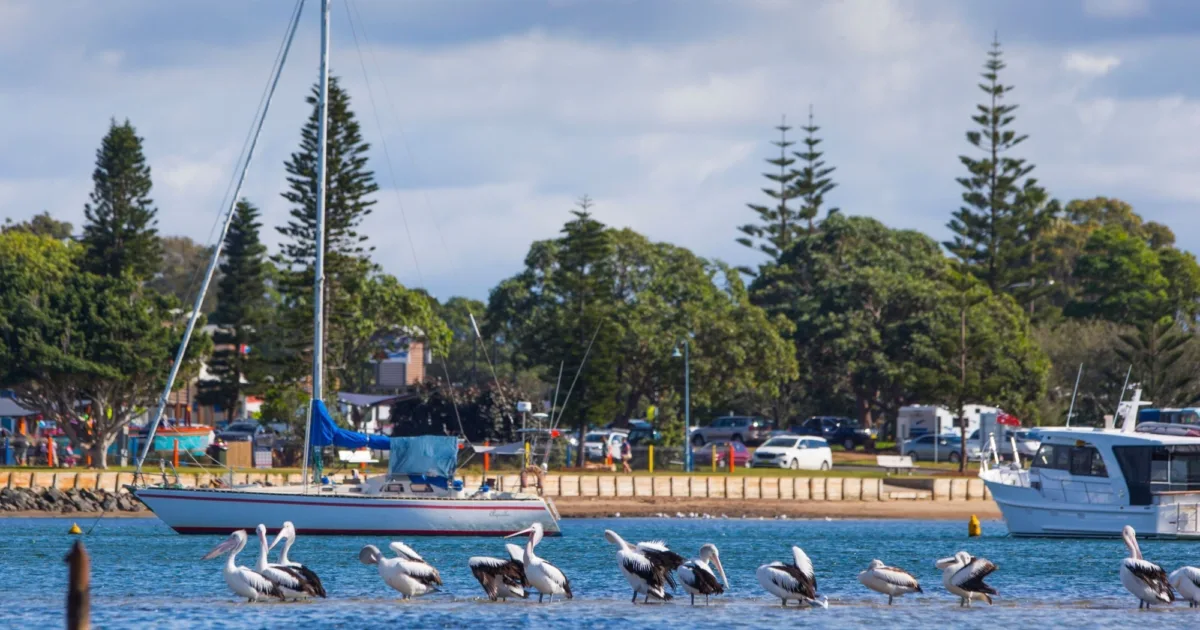 Town Beach Port Macquarie