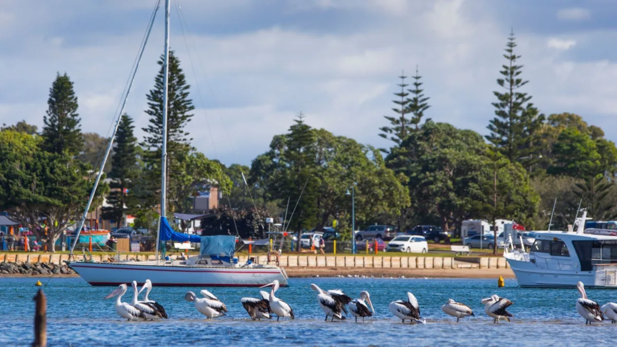 Town Beach Port Macquarie