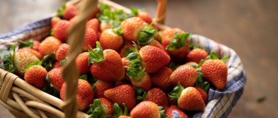 Ricardoes Tomatoes and Strawberries Port Macquarie