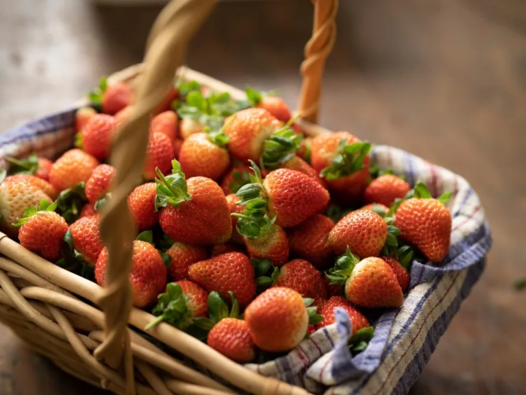 Ricardoes Tomatoes and Strawberries Port Macquarie
