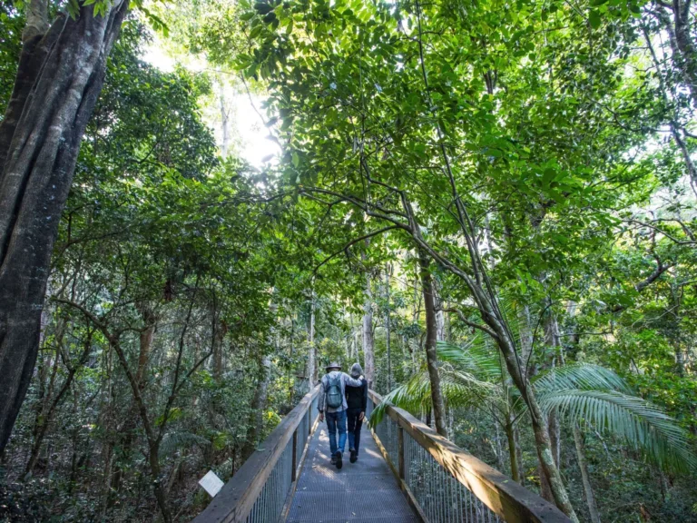 Sea Acres National Park Port Macquarie