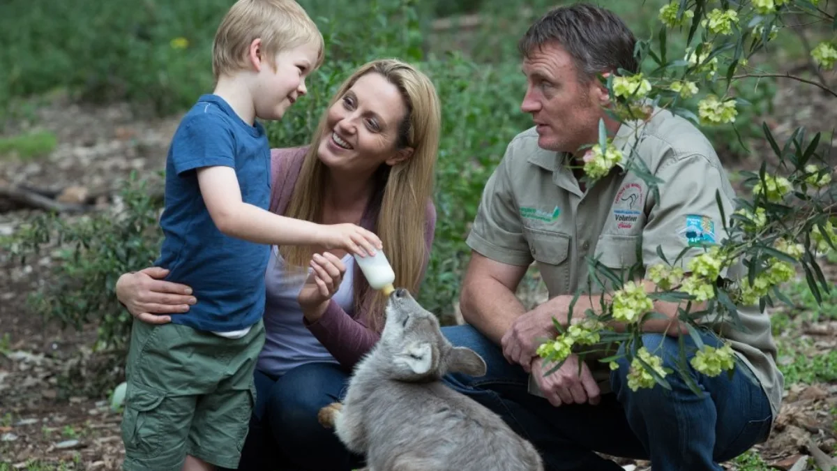 Tamworth Marsupial Park Image Credit: Destination NSW