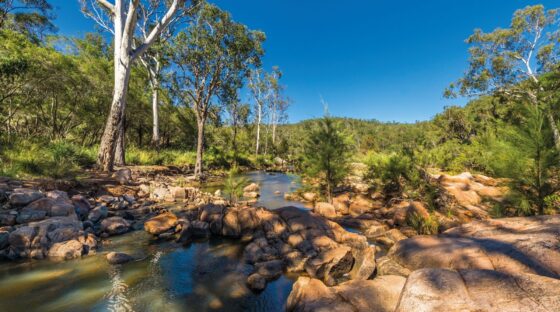 Crows Nest National Park. Image Credit: TEQ