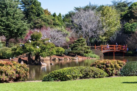 Red wooden bridge at the Japanese Garden. Image credit: TEQ