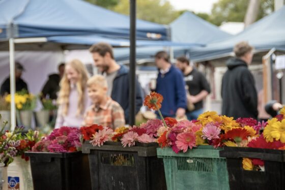 Toowoomba Farmers Markets. Image Credit: TEQ